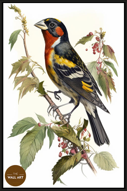 images/products/grosbeak_bird_iii/Grosbeak_bird III_BLACK.jpg